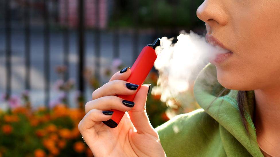 一個身穿綠色連帽衫的人，手持紅色 vape 裝置呼出水蒸氣，背景是模糊的花朵和籬笆。. 電子煙 vape